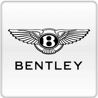 Bentley Luxury Ride-On Cars